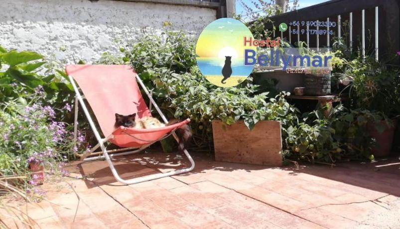 Hostal Bellymar Pichilemu Exterior foto